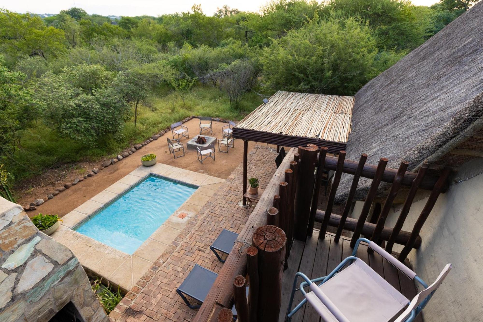 Lodge Zebra