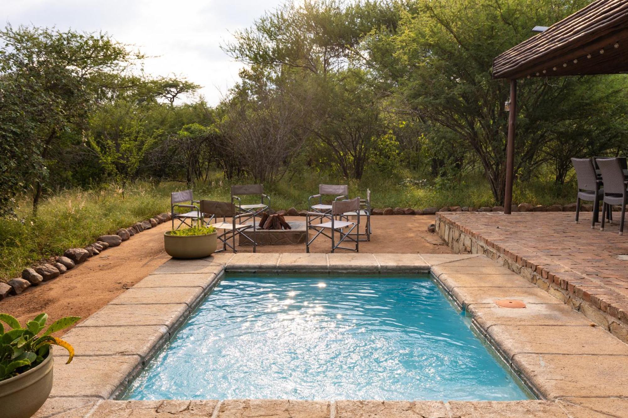 Zebra Hoedspruit