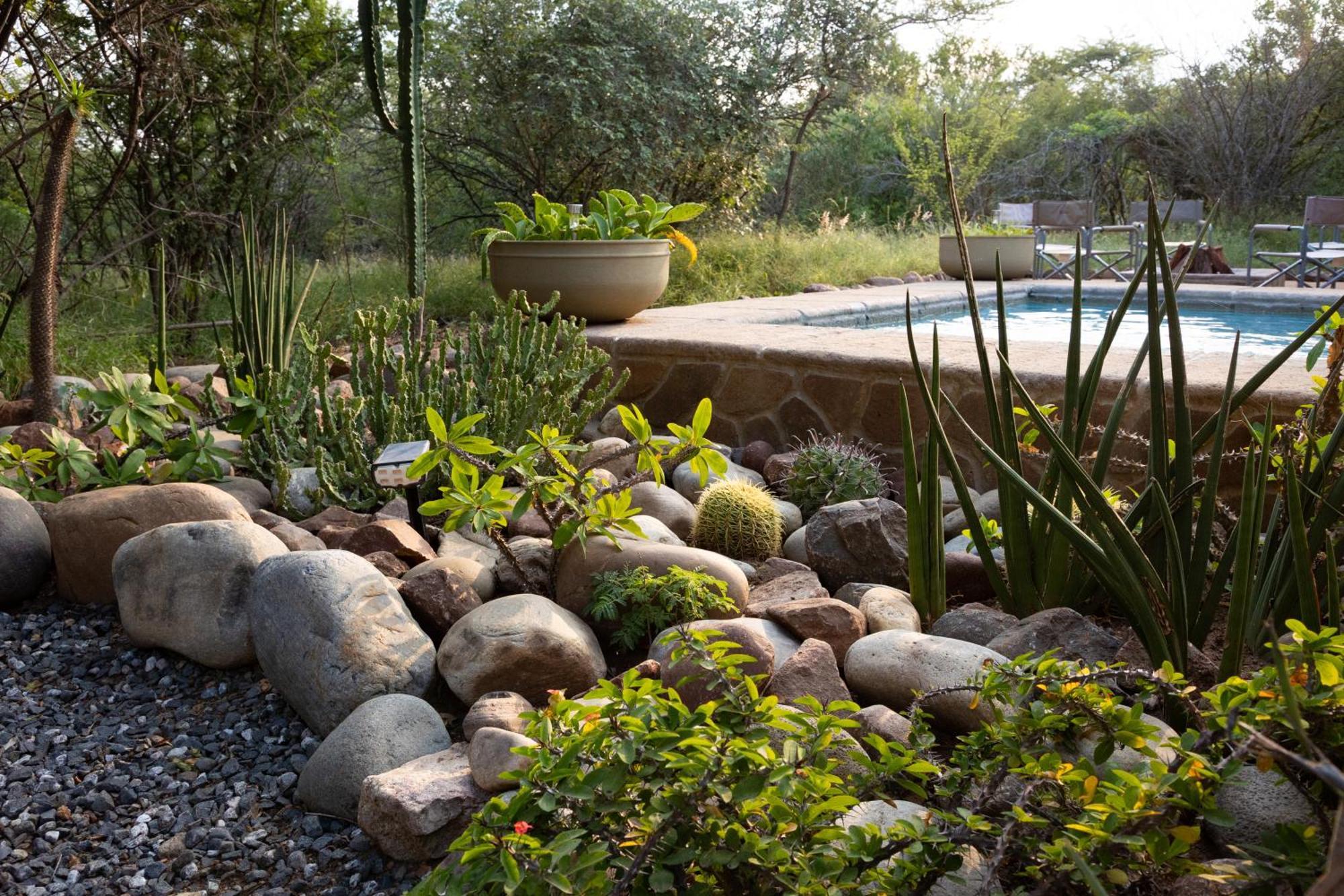 Lodge Zebra Hoedspruit