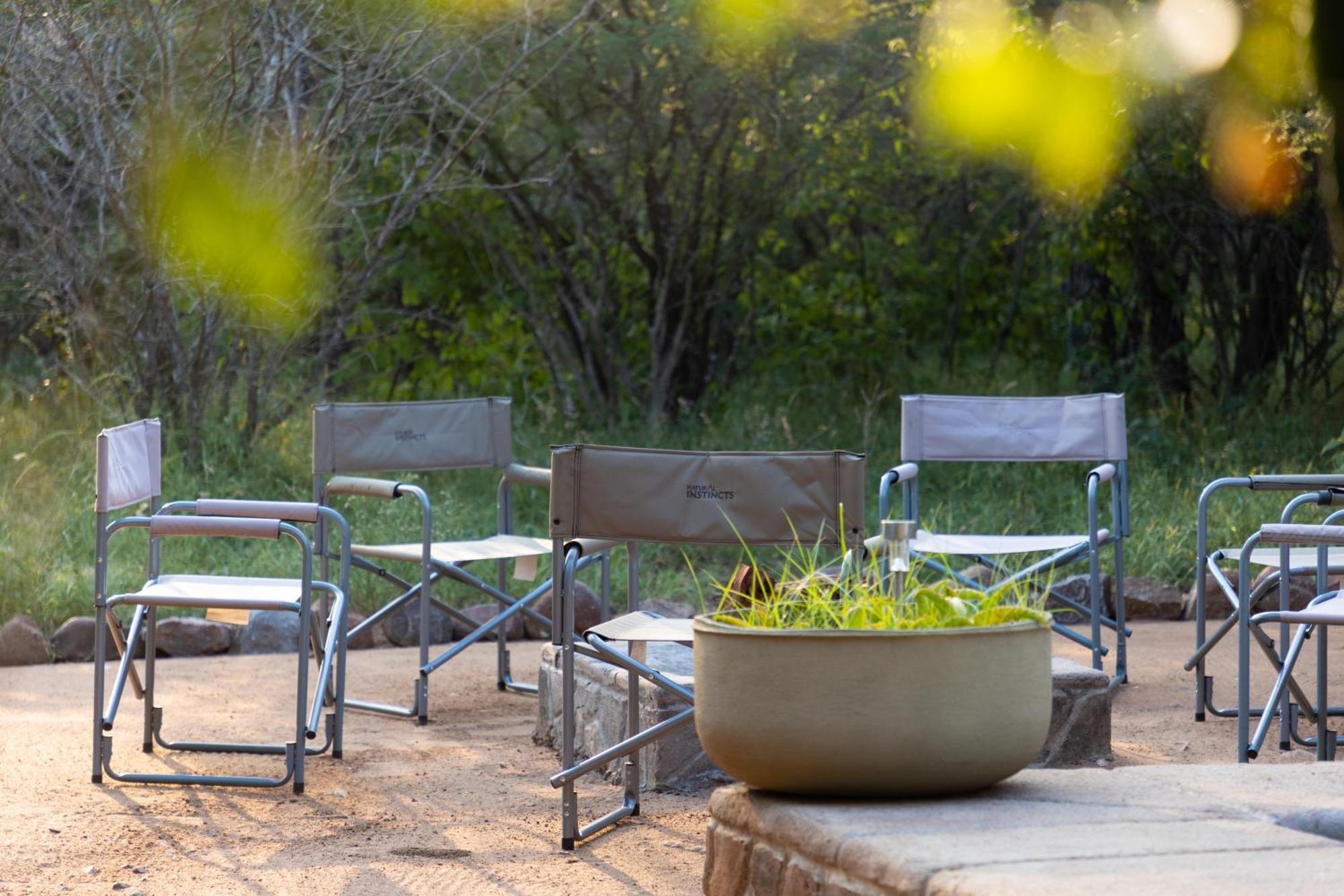 Lodge Zebra Hoedspruit